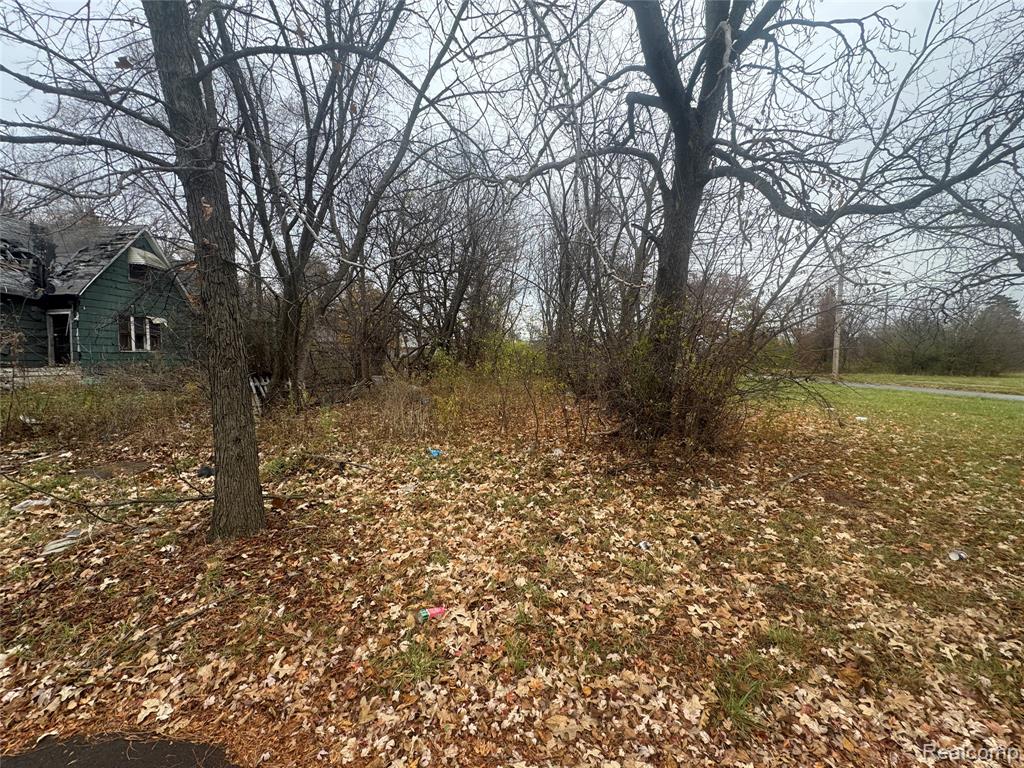 4226 18TH Street, Detroit, MI 48208 — Photo 11