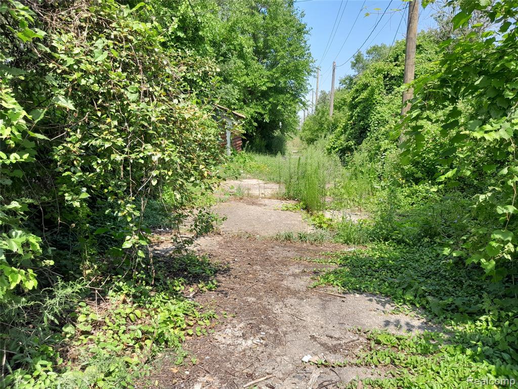534 Bellevue Street, Detroit, MI 48207 — Photo 4