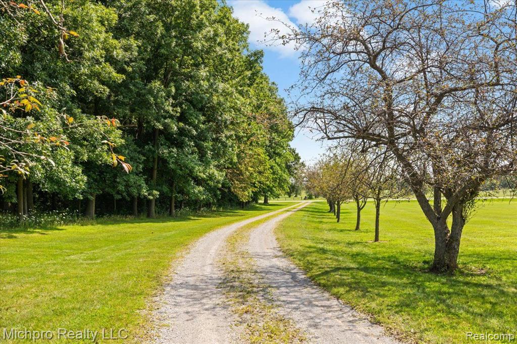 9321 LAPEER Road, Mayville Vlg, MI 48744 — Photo 44