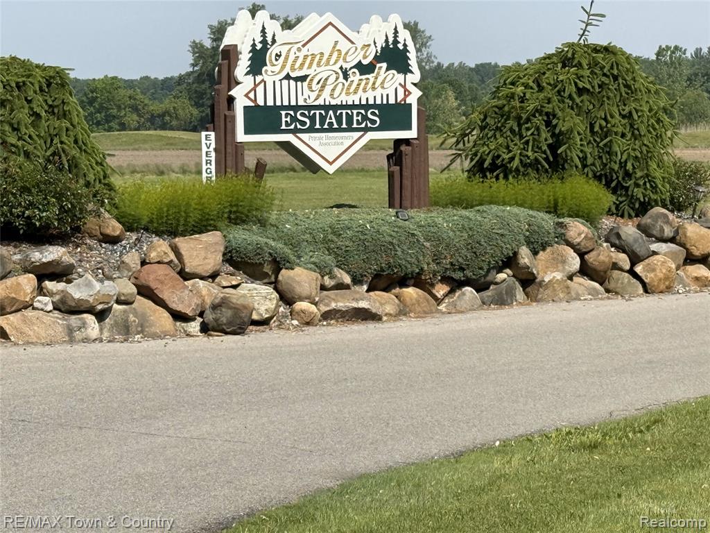 V/L David Street, Hastings, MI, 49058