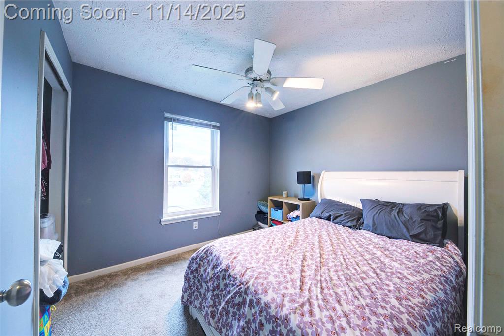 117 Turtle Trace, Pinckney, MI 48169 — Photo 16