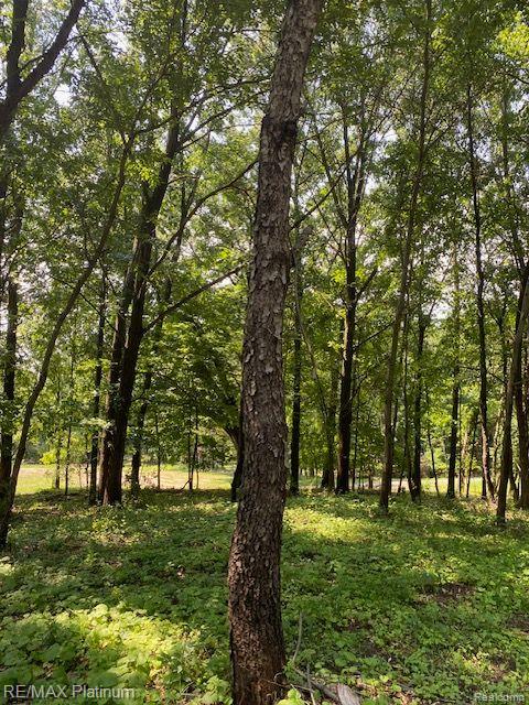 7 Sleaford-Parcel 7 - 2 Acres Road, Howell, MI 48843 — Photo 20