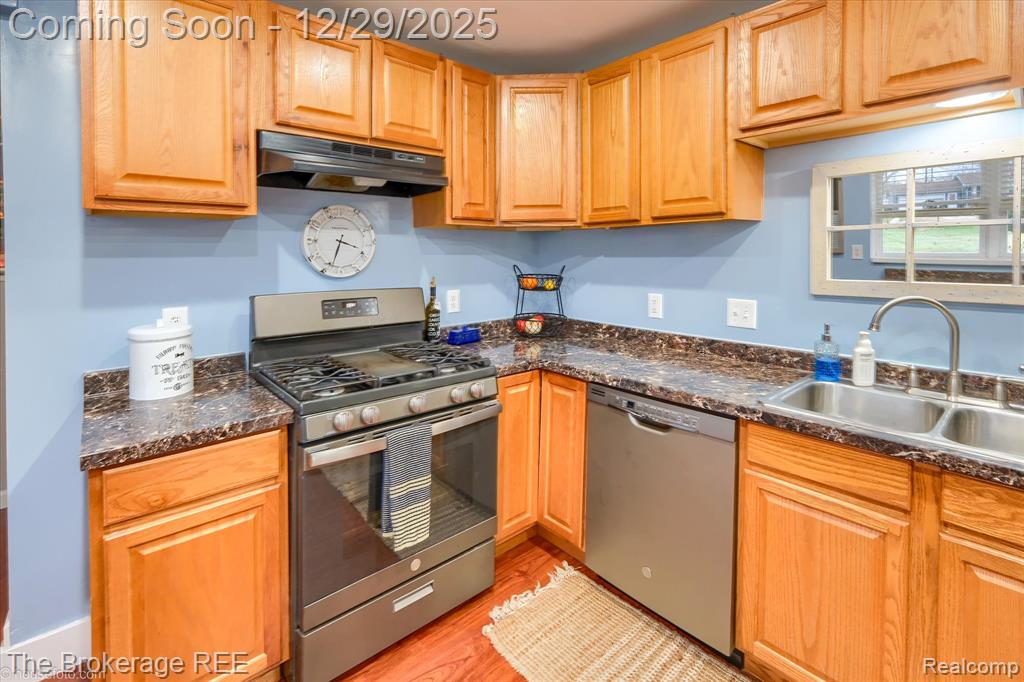7072 Randee Street, Flushing, MI 48433 — Photo 20