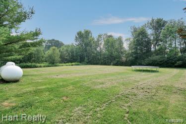 6198 EWALT Road, Imlay City, MI 48444 — Photo 38