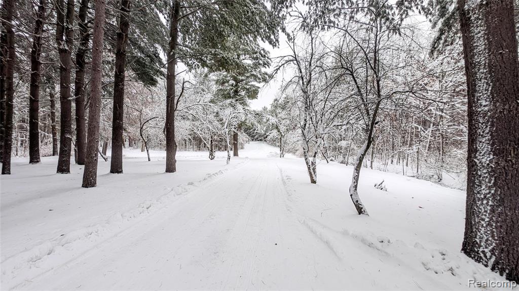 3710 Arivaca Drive, Millington, MI 48746 — Photo 14