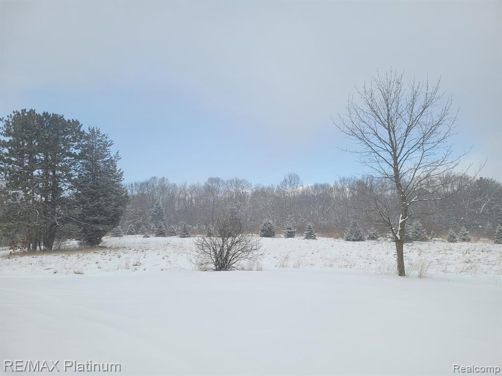 Parc B Tipsico Lake Road, Hartland, MI 48353 — Photo 20