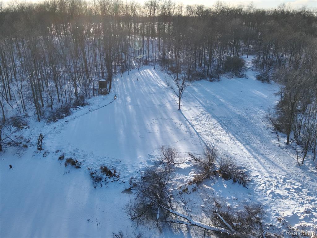 v/l W Us-12 Highway, Manchester, MI 48158 — Photo 11