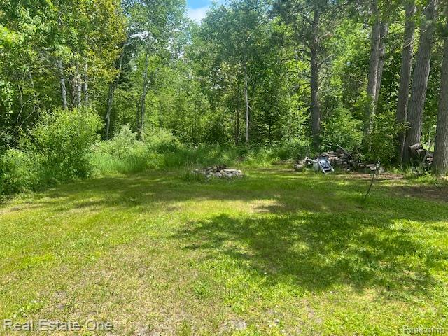 10264 State Highway M123, Newberry, MI 49868 — Photo 15