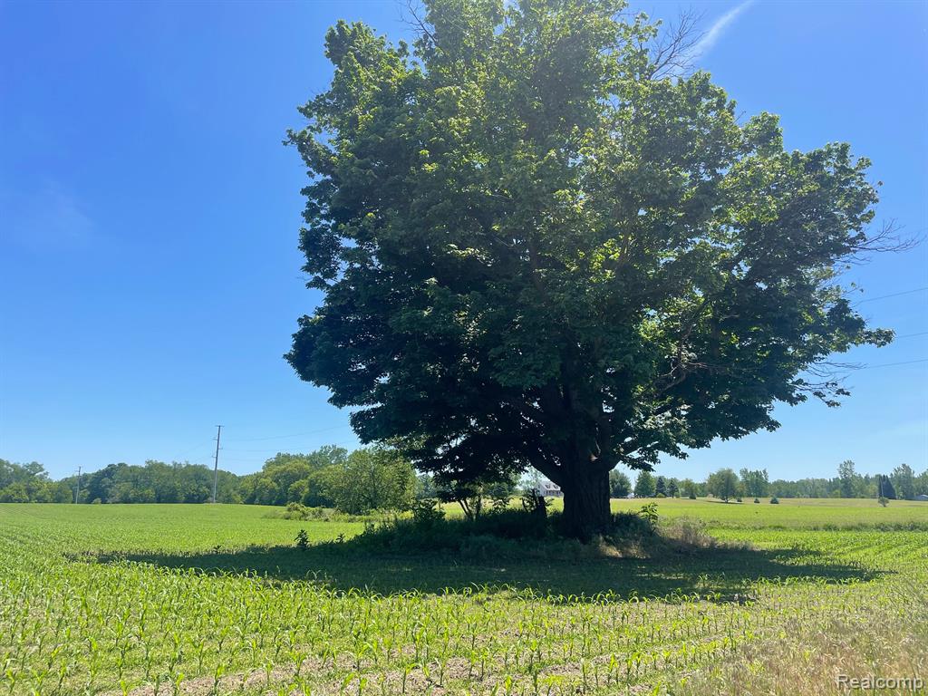V/L SCHREPFER RD, Howell, MI 48855 — Photo 2