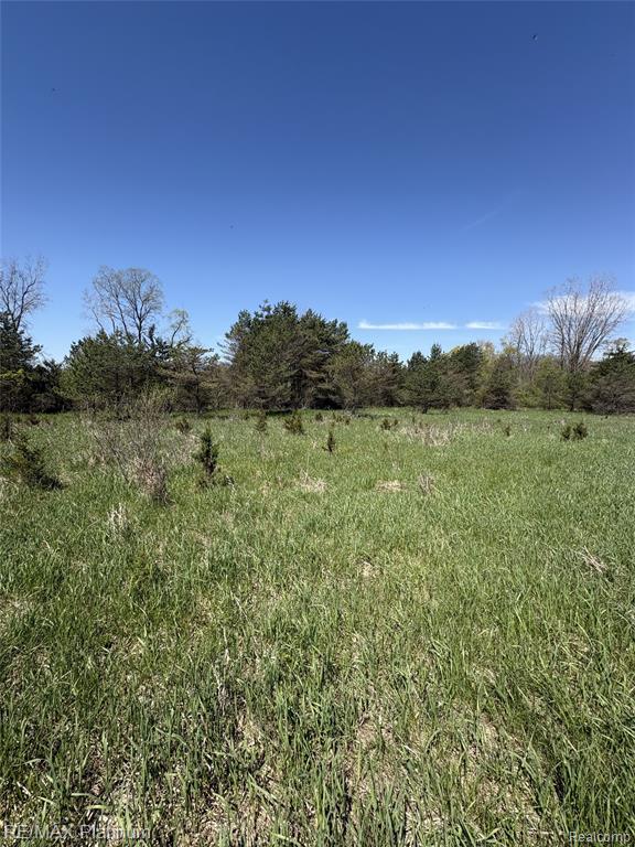 Parcel 2 Pineway Trail, Howell, MI 48855 — Photo 6
