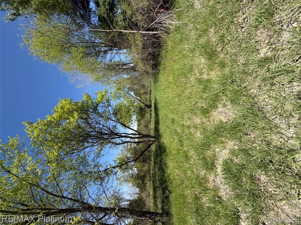 Parcel 6 Fisher Road, Howell, MI 48855 — Photo 9