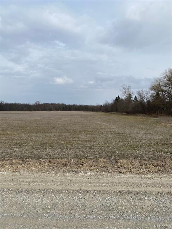 0002 HOWLAND Road, Almont, MI 48003 — Photo 19
