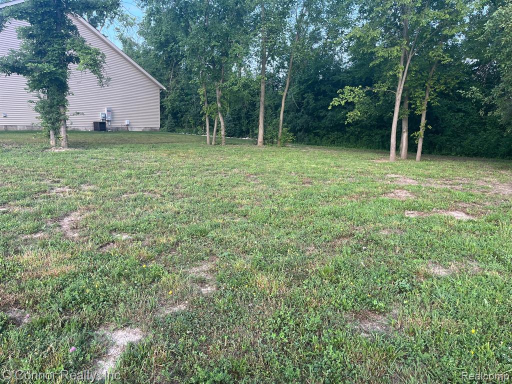 80 CAPITOL Drive, Marysville, MI 48040 — Photo 5