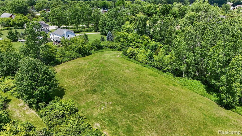 4461 Ray Road, Grand Blanc, MI 48439 — Photo 6