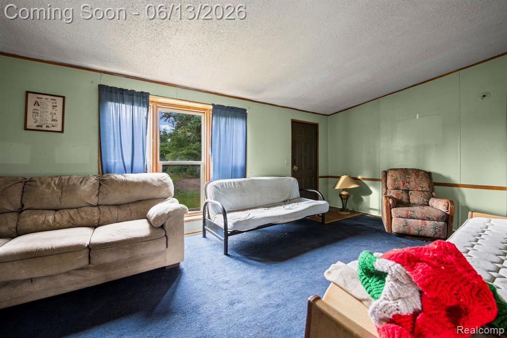 51105 Arkona Road, Belleville, MI 48111 — Photo 15