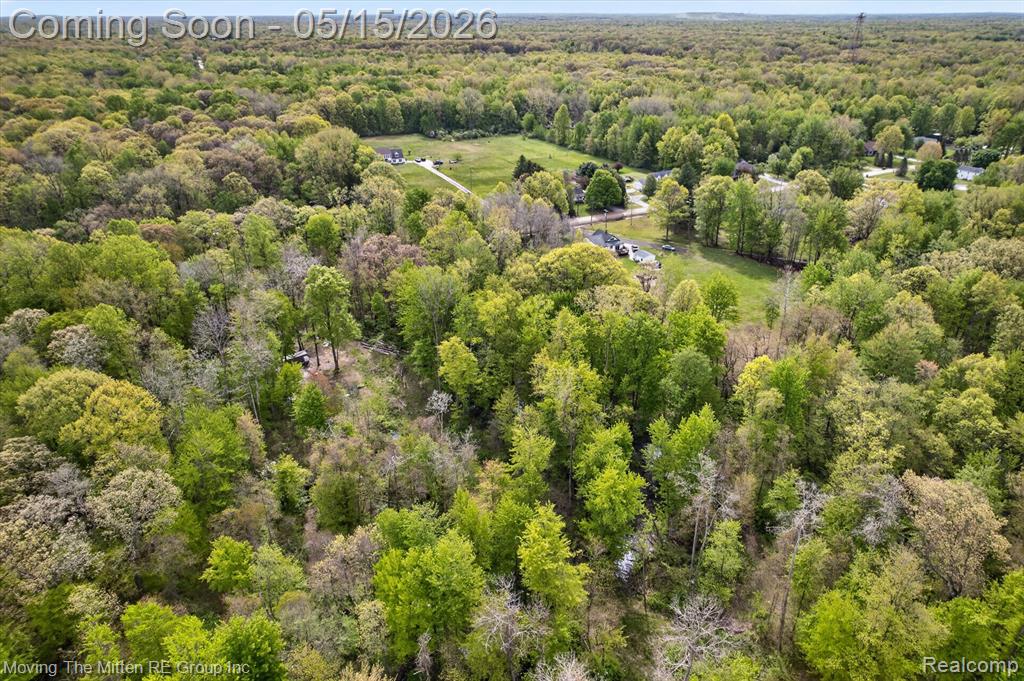 22530 Bohn Road, Belleville, MI 48111 — Photo 9
