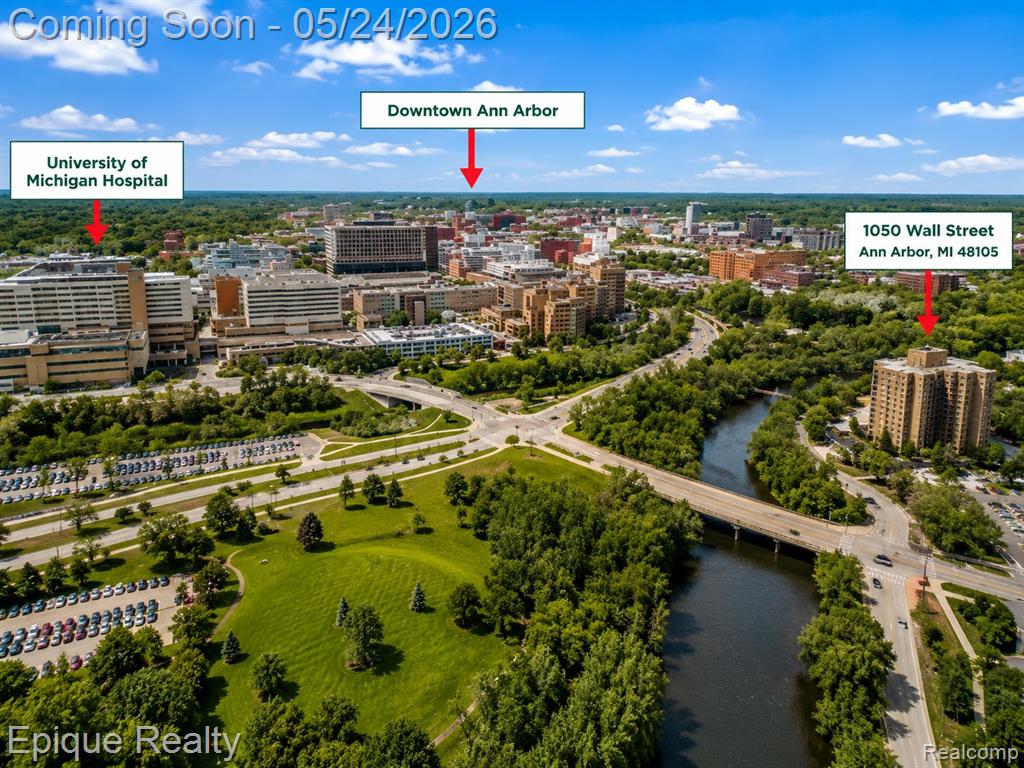 1050 Wall Street, 8F, Ann Arbor, MI 48105 — Photo 23