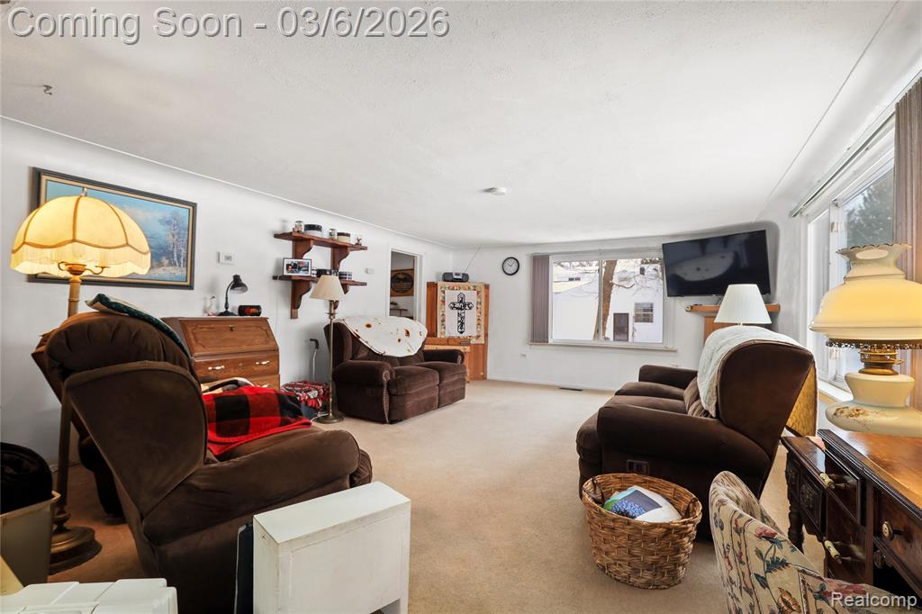 5194 Davison Road, Lapeer, MI 48446 — Photo 7
