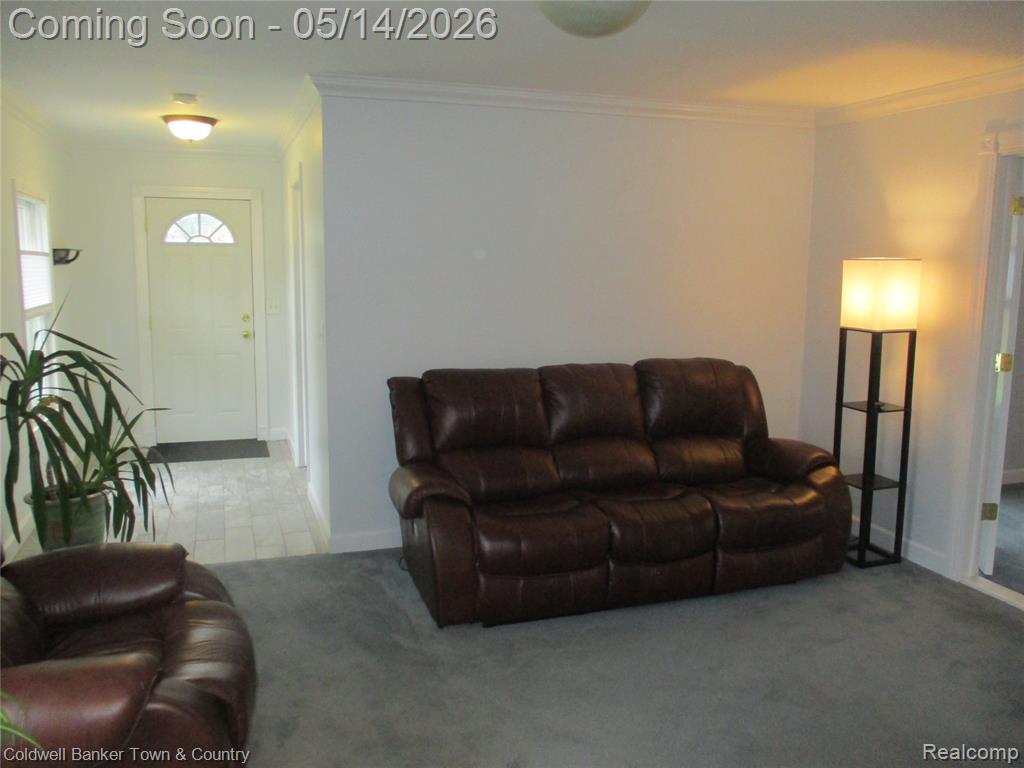 4610 Van Amberg Road, Brighton, MI 48114 — Photo 9