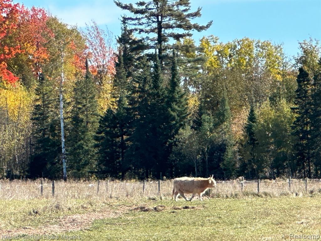 400 E SPRUCE Road, Spruce, MI — Photo 2