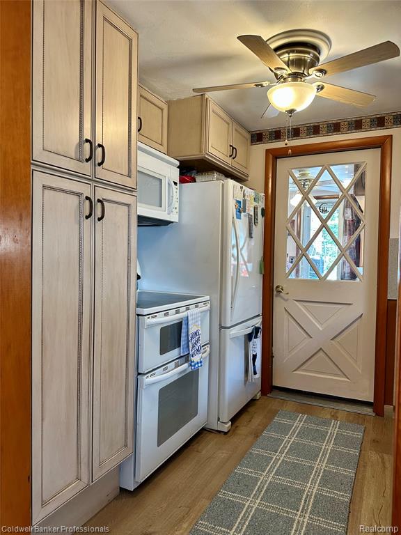 7351 Chain Lake Drive, South Branch, MI, 48761