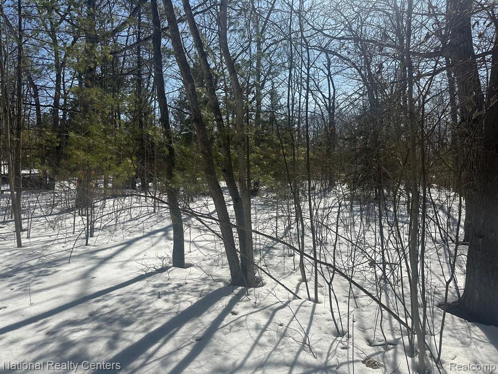 15967 NE SPRUCE Drive E, Presque Isle, MI 49777 — Photo 54