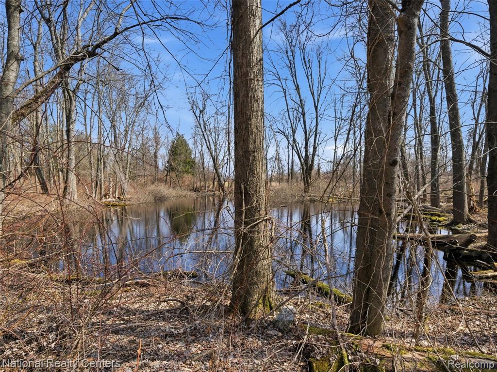 675 W Leonard Road, Leonard, MI 48367 — Photo 41