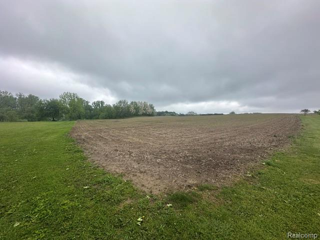 VL Mertz Road, Mayville Vlg, MI 48744 — Photo 14