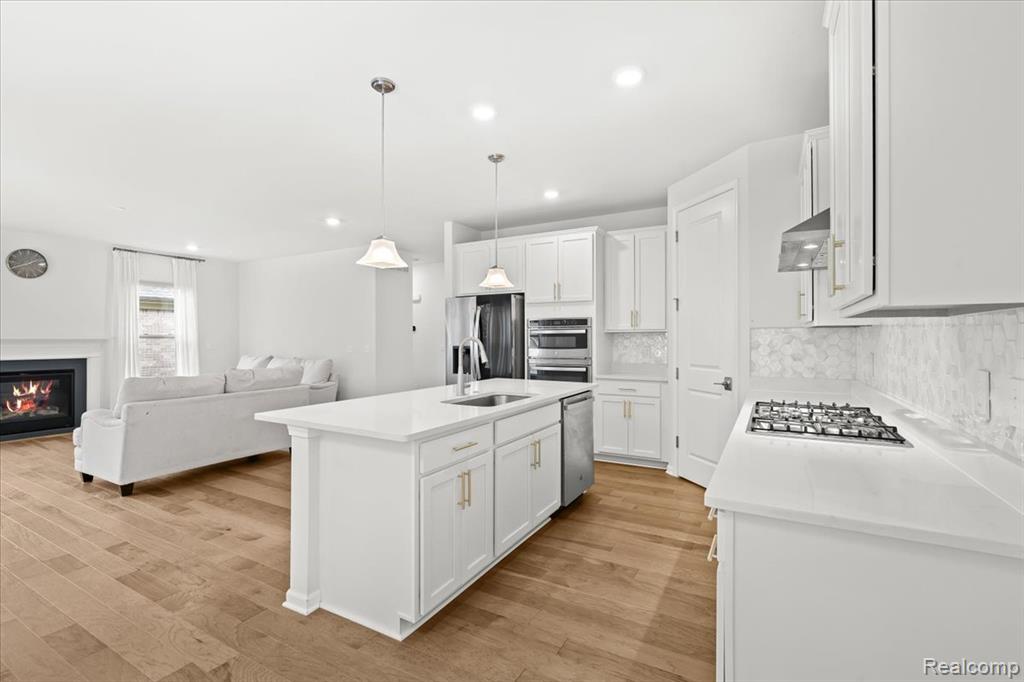 48255 Amber Lane Drive, Shelby Twp, MI 48315 — Photo 14