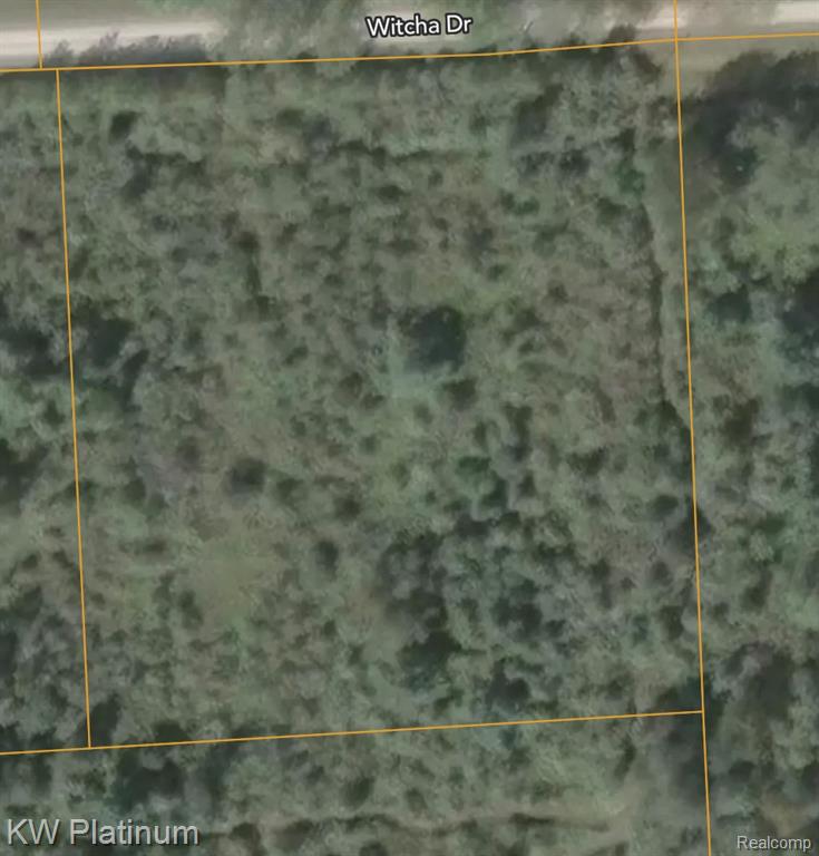 Parcel D Wicha Drive, Burtchville, MI 48059 — Photo 3