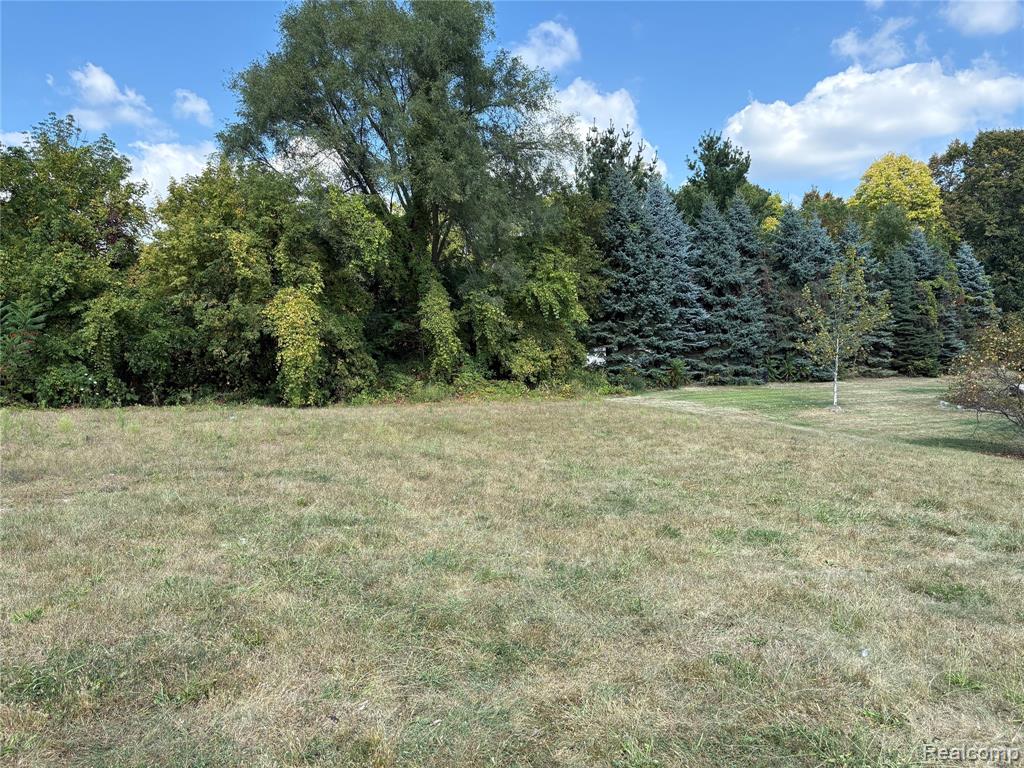 18018 RIDGEVIEW Drive, Northville, MI — Photo 2
