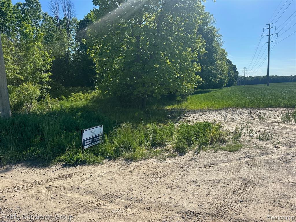 2681 Fisk Road, Howell, MI 48843 — Photo 4