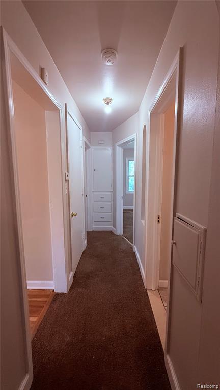 8875 Manor Street, Detroit, MI 48204 — Photo 11