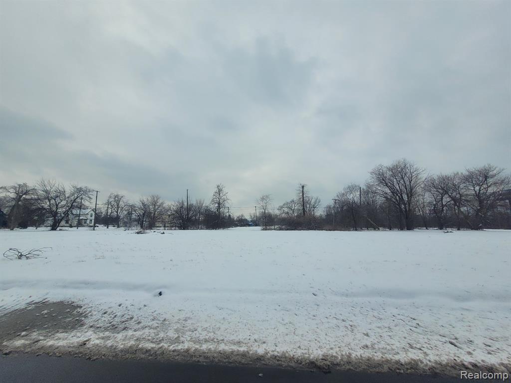 4253 LAWTON Street, Detroit, MI 48208 — Photo 7