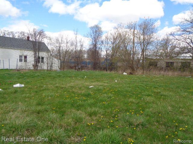 11670 SAINT LOUIS Street, Hamtramck, MI 48212 — Photo 4