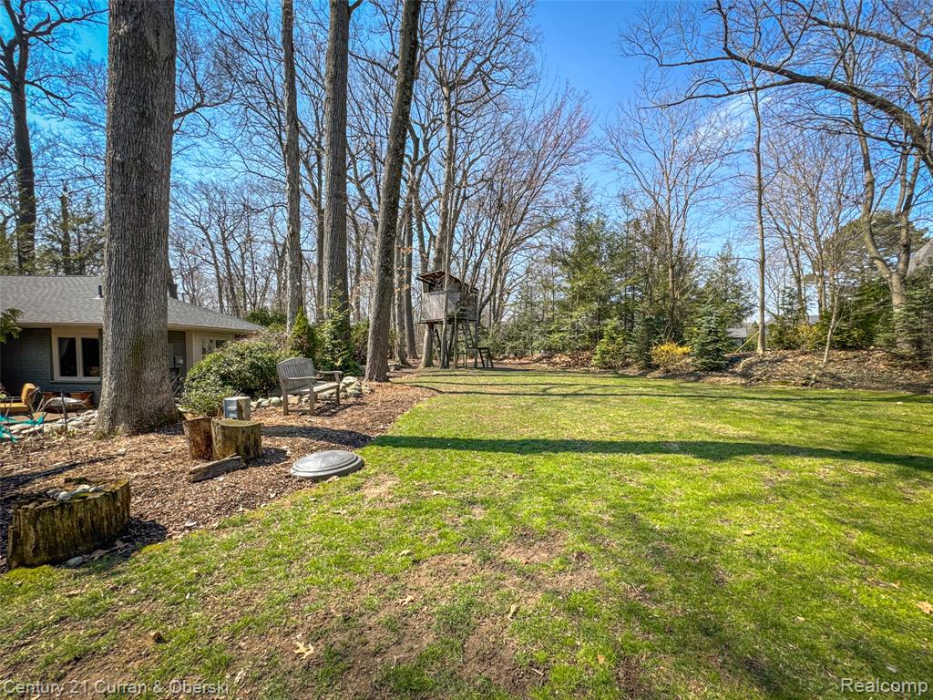 View of grassy yard
