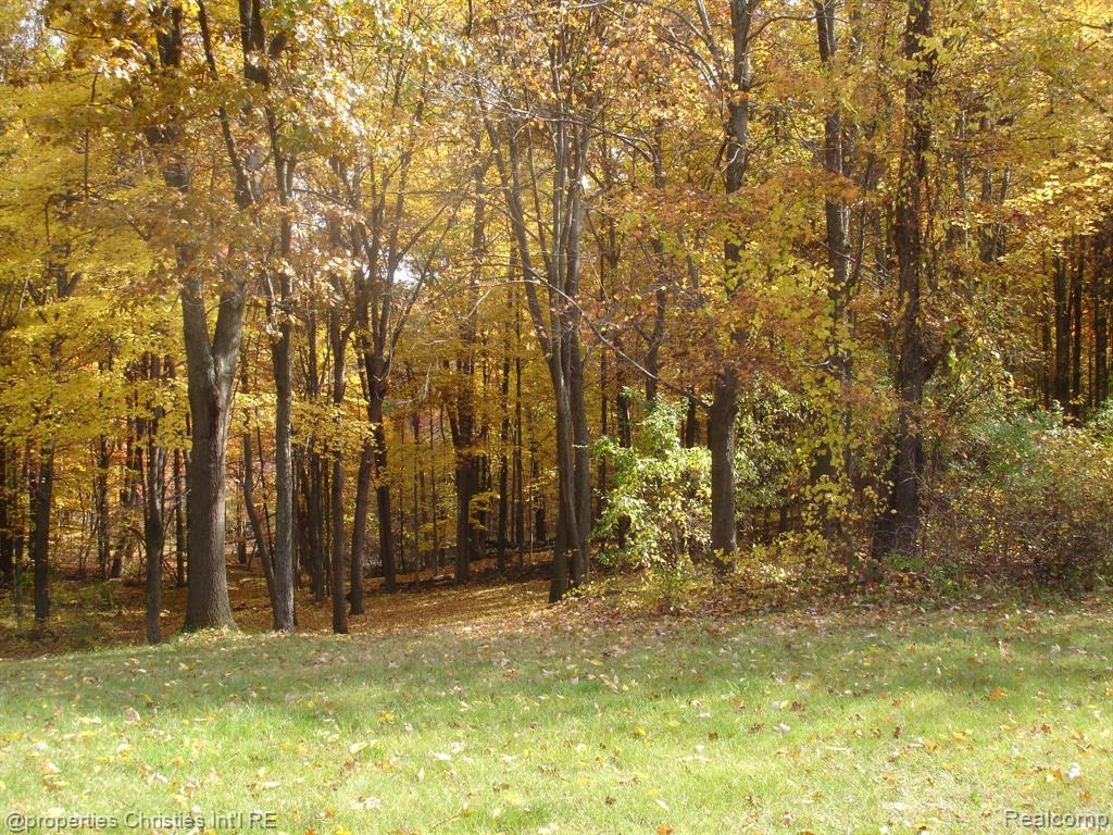 1451 Barrwood Trail, Oxford, MI 48371 — Photo 6
