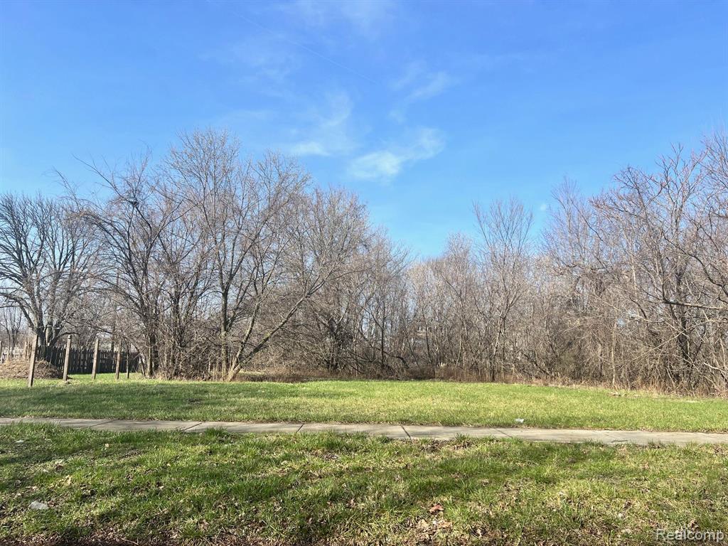 3533 LOVETT Street, Detroit, MI 48210 — Photo 4