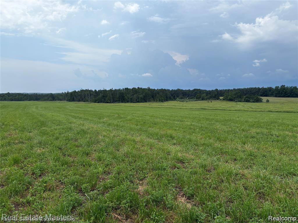 300 W Hubert Road, Spruce, MI — Photo 2