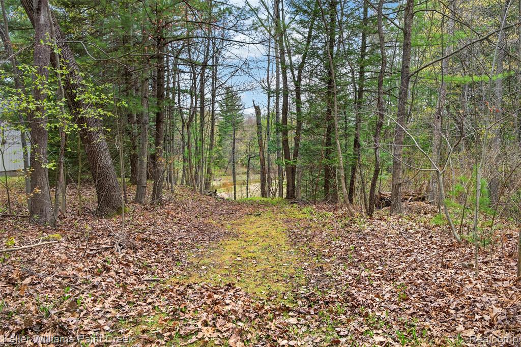 5429 Daily Road, Clement, MI 48610 — Photo 18