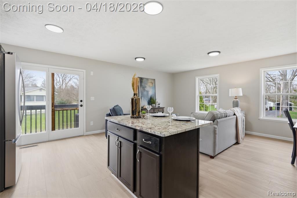 118 Gale Street, Morrice, MI 48857 — Photo 10