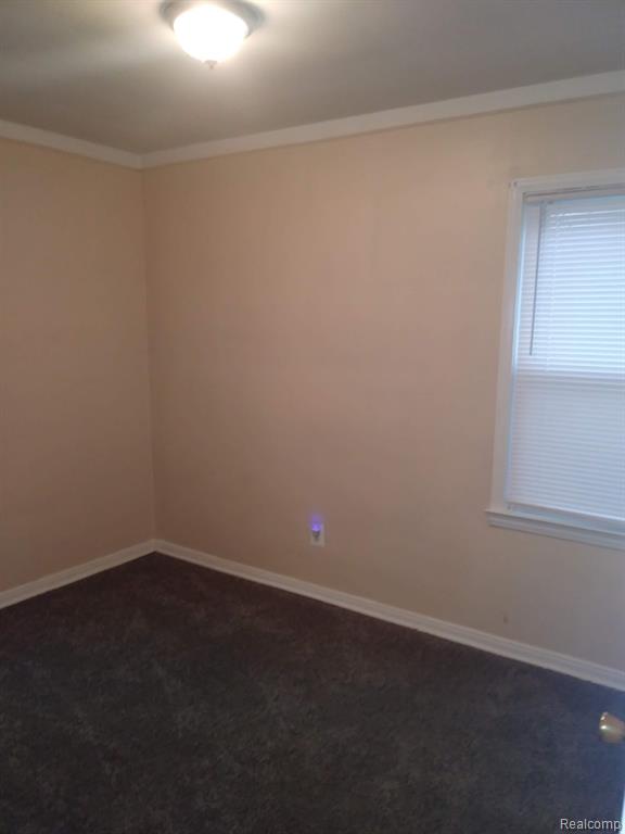 9250 PLAINVIEW, Detroit, MI 48228 — Photo 13
