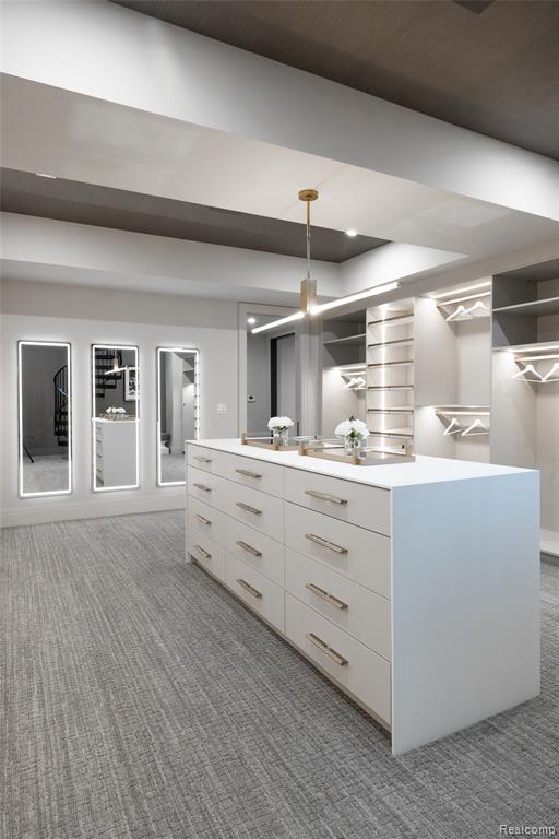 Spacious closet with dark carpet
