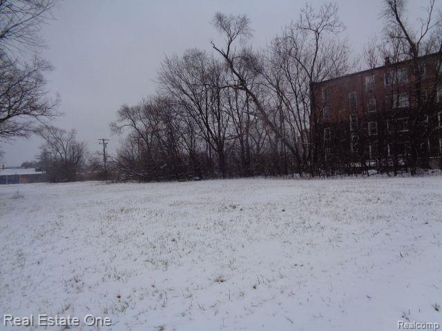 2691 ROCHESTER Street, Detroit, MI 48206 — Photo 9