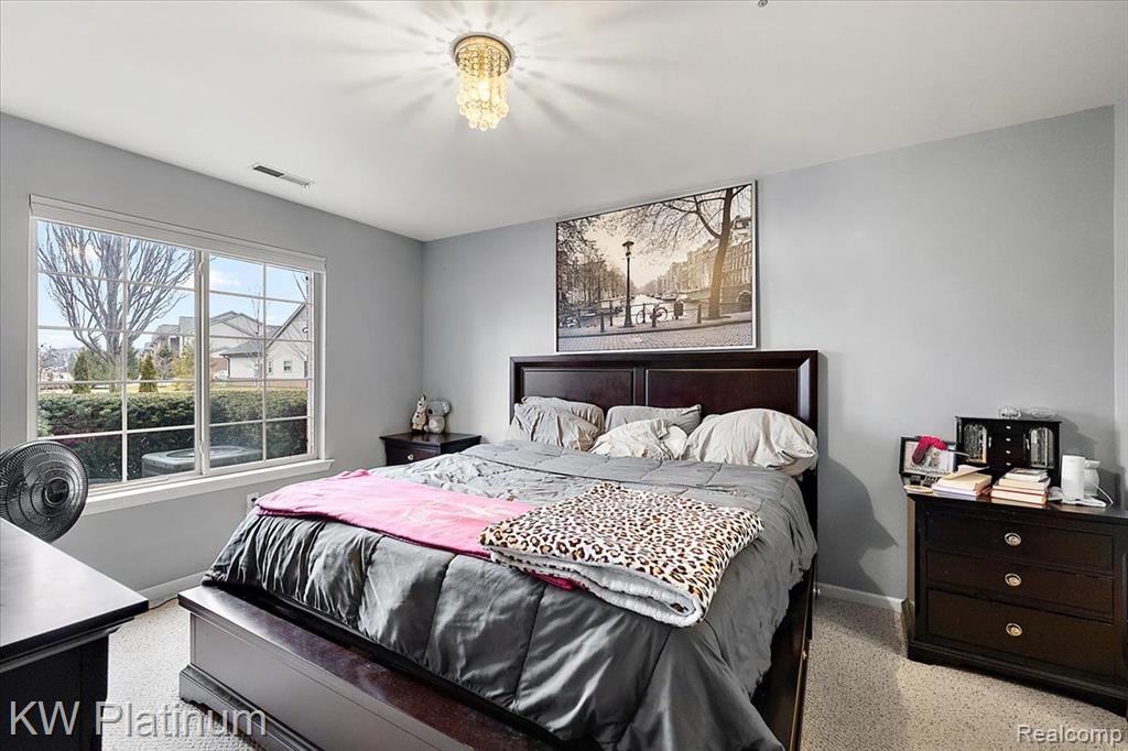 45519 Hidden View Court, Utica, MI 48315 — Photo 20