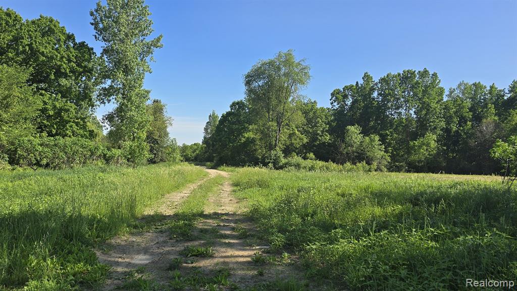 4545 Dexter Pinckney, Dexter, MI 48130 — Photo 12