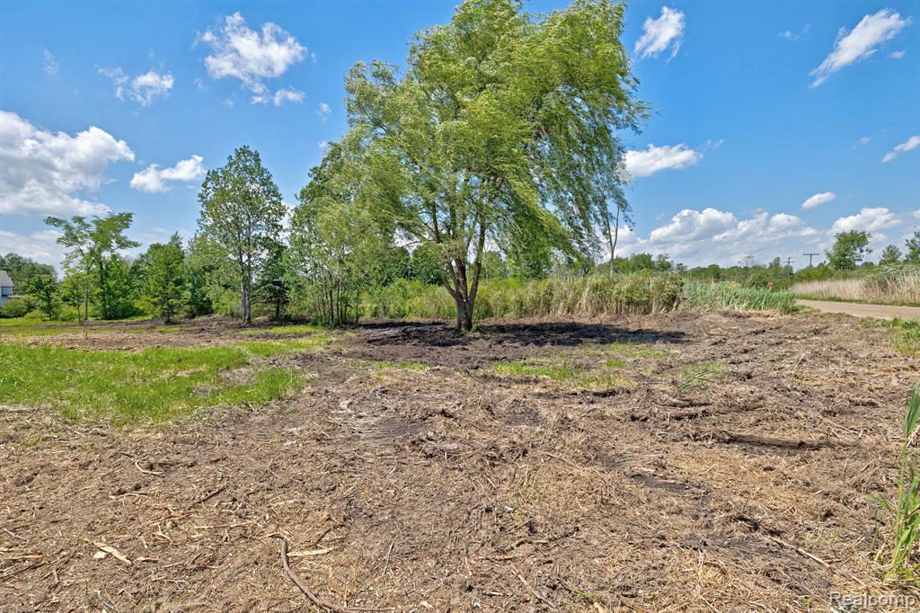 Vacant Land Brandt Road, Ortonville, MI 48462 — Photo 22
