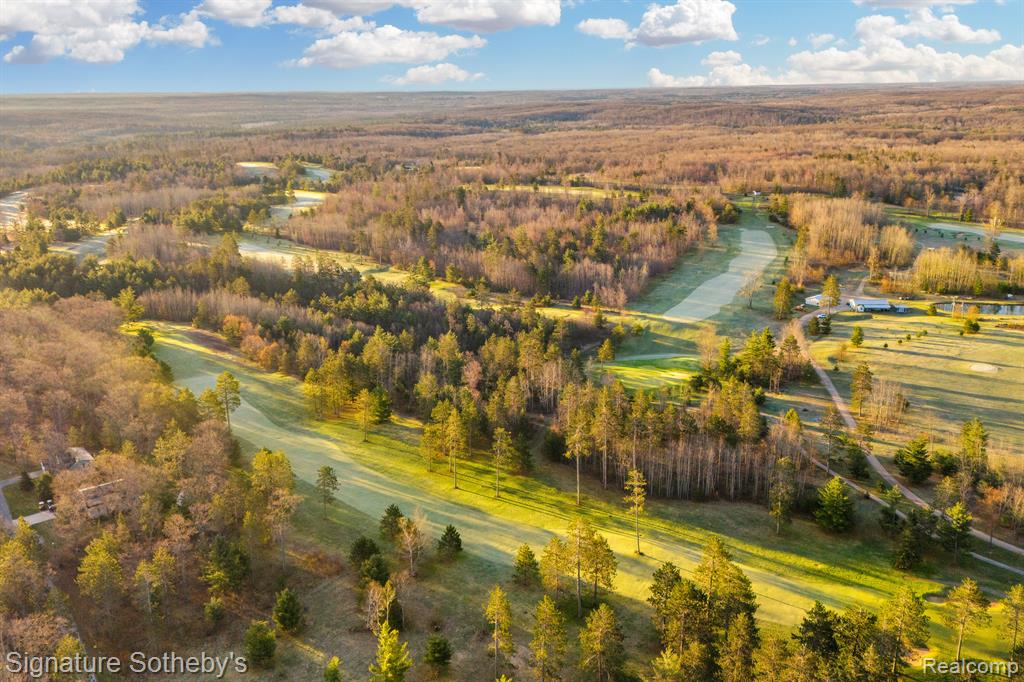 6130 Cedar Drive, Hubbard Lake, MI 49747 — Photo 46