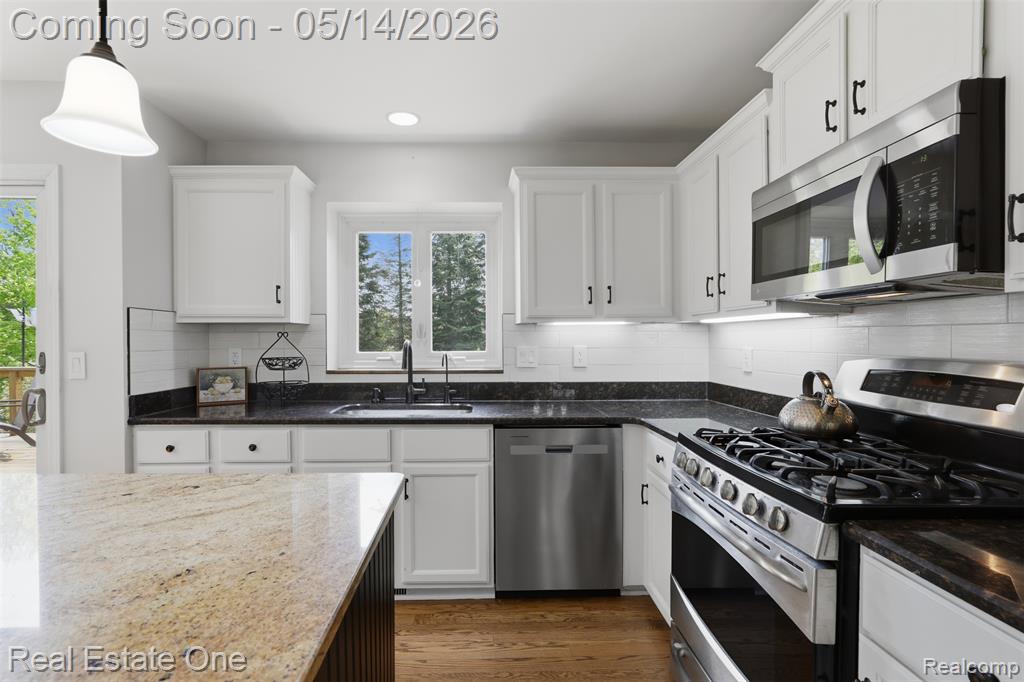 11163 Sand Crane Way, South Lyon, MI 48178 — Photo 18