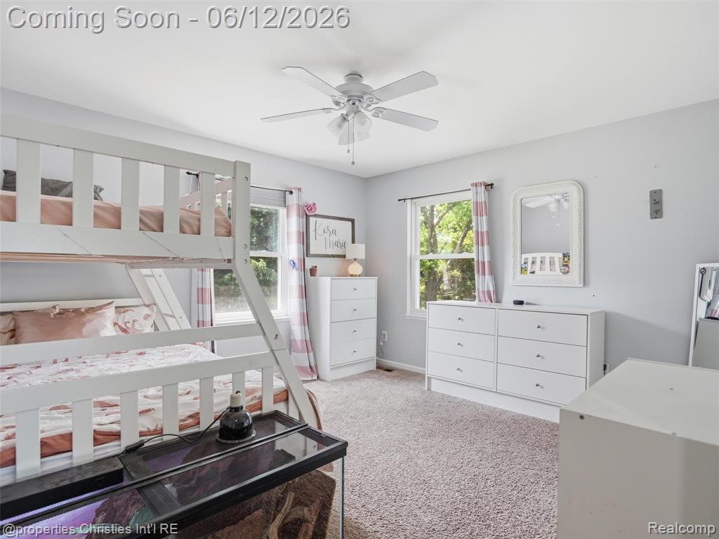 10378 Barbara Street, Pinckney, MI 48169 — Photo 22